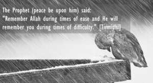 Hadith of PROPHET MUHAMMAD PBUH 